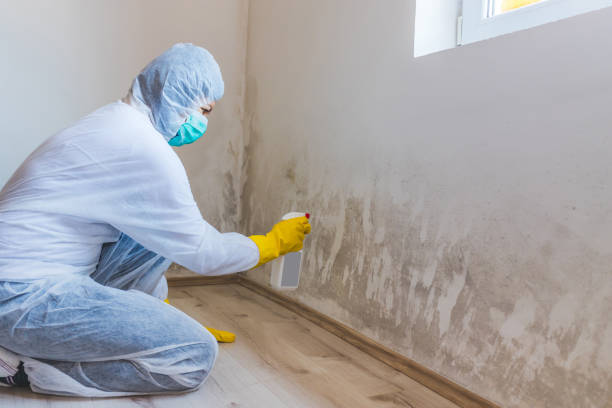 Mold inspector in Holmdel performing thermal imaging